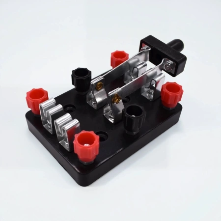 Переключатель двухполюсный (демонстрационный)